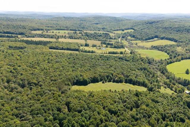 $94,000 | Lot 2 Warren Road, Meredith, NY 13753