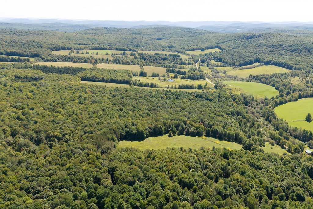 Lot 2 Warren Road Meredith, NY 13753 - Photo 6 of 8