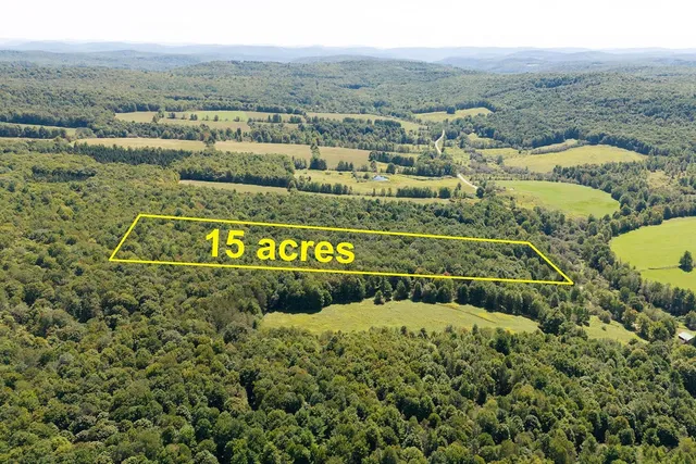 $94,000 | Lot 2 Warren Road, Meredith, NY 13753