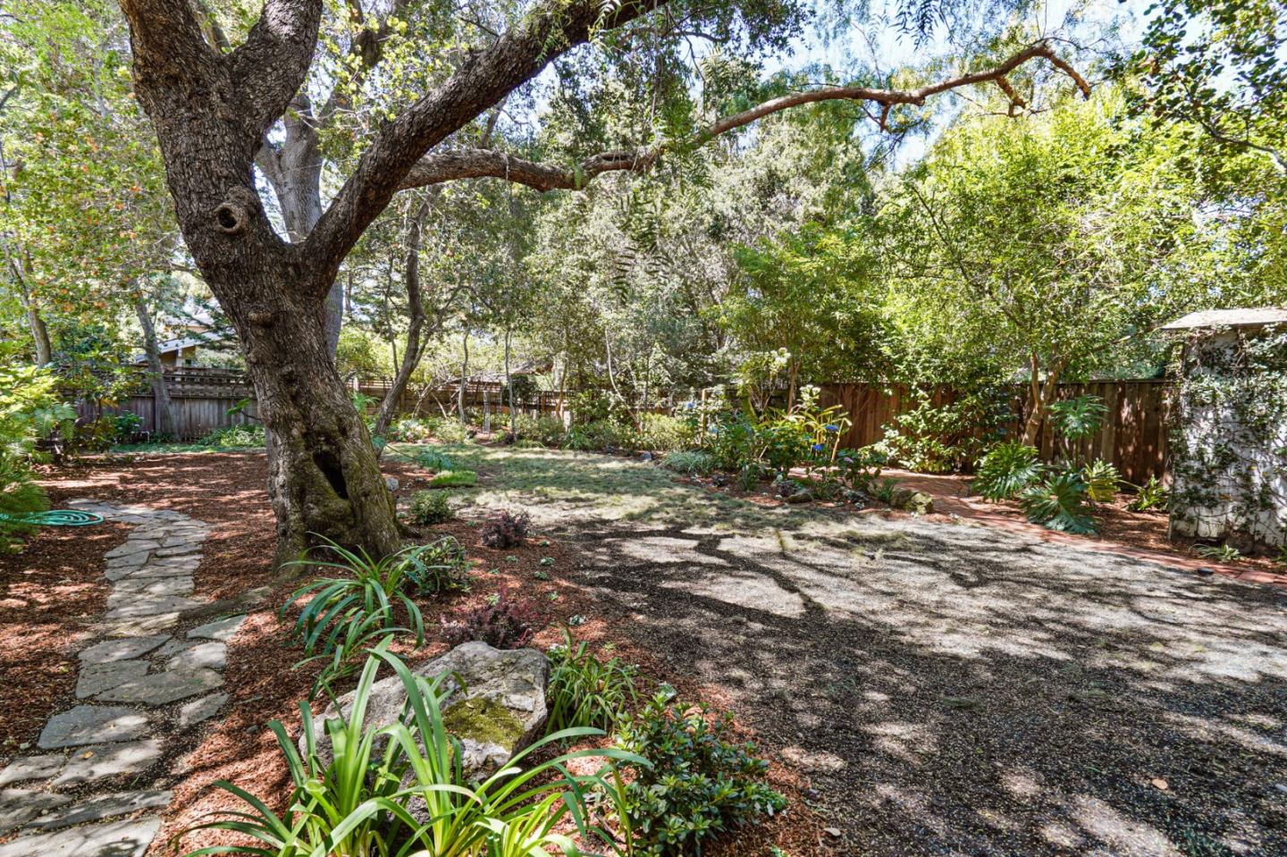 151 Melville Avenue Palo Alto, CA 94301 - Photo 46 of 51 a view of outdoor space with trees