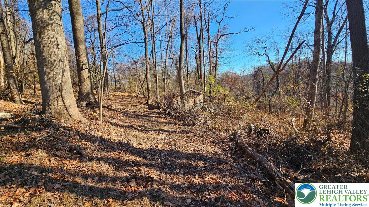 4057 Sherry Hill Road Hellertown, PA 18055 - Photo 12 of 20