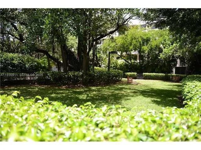 a view of a yard with large trees