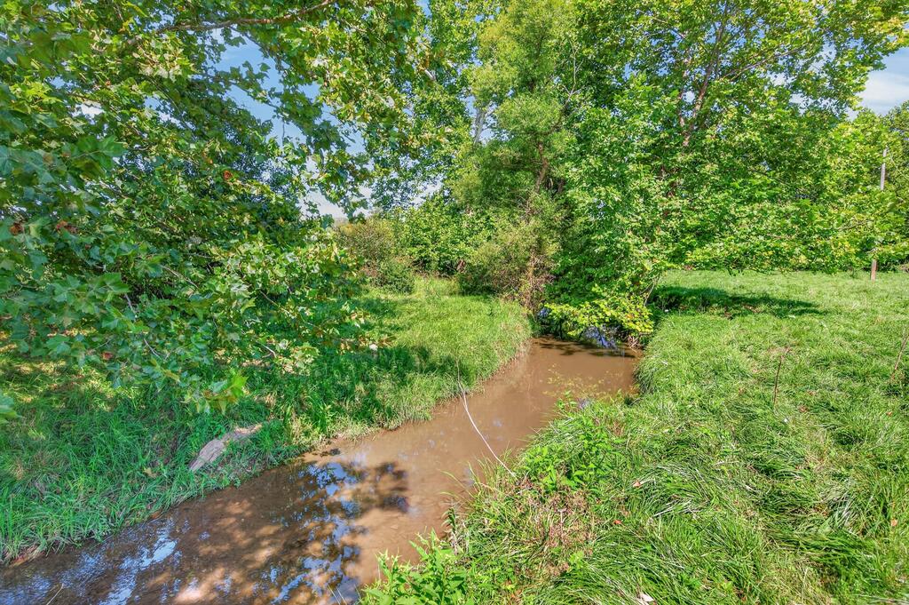 Tbd Peppers Ferry Road, Unit TRACT 4 Wytheville, VA 24382 - Photo 14 of 63 Gallery Image 14
