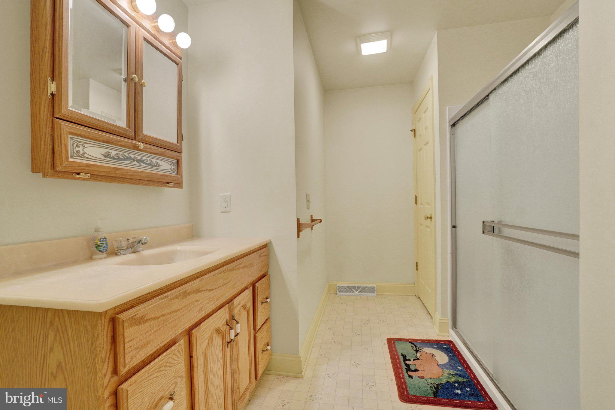 176 Falmouth Road Bainbridge, PA 17502 - Photo 10 of 32 Primary Bath