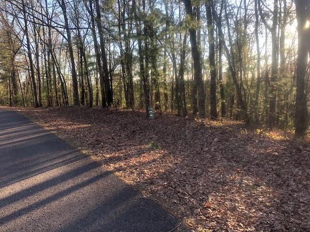 12 Hap Holt Road Ellijay, GA 30540 - Photo 1 of 1