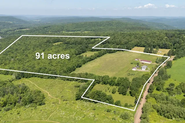 $650,000 | 1669 Ed Klug Road, Franklin, NY 13775