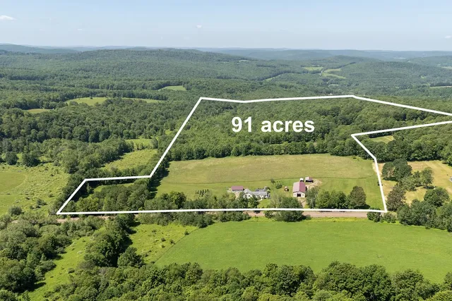 $650,000 | 1669 Ed Klug Road, Franklin, NY 13775