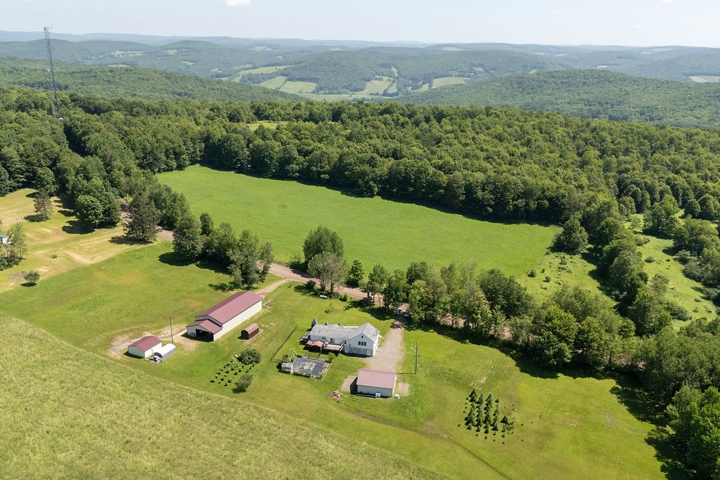 1669 Ed Klug Road Franklin, NY 13775 - Photo 38 of 50