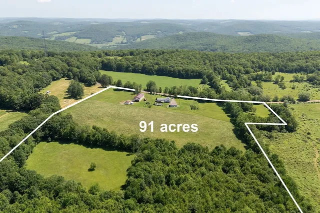 $650,000 | 1669 Ed Klug Road, Franklin, NY 13775