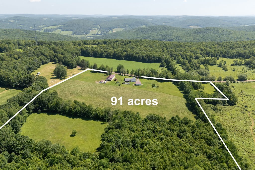 1669 Ed Klug Road Franklin, NY 13775 - Photo 6 of 50