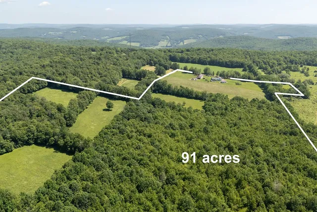 $650,000 | 1669 Ed Klug Road, Franklin, NY 13775