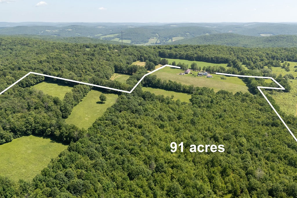 1669 Ed Klug Road Franklin, NY 13775 - Photo 7 of 50