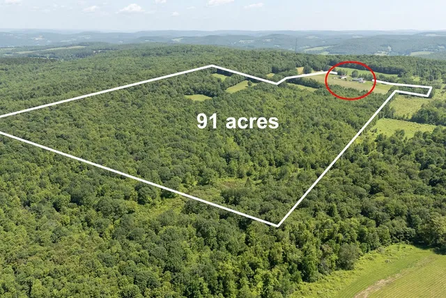 $650,000 | 1669 Ed Klug Road, Franklin, NY 13775