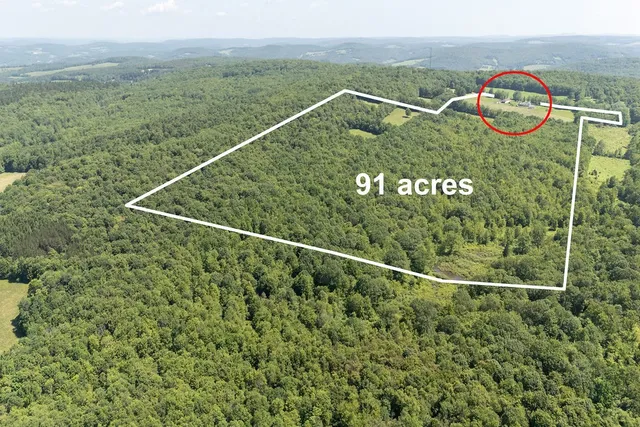 $650,000 | 1669 Ed Klug Road, Franklin, NY 13775