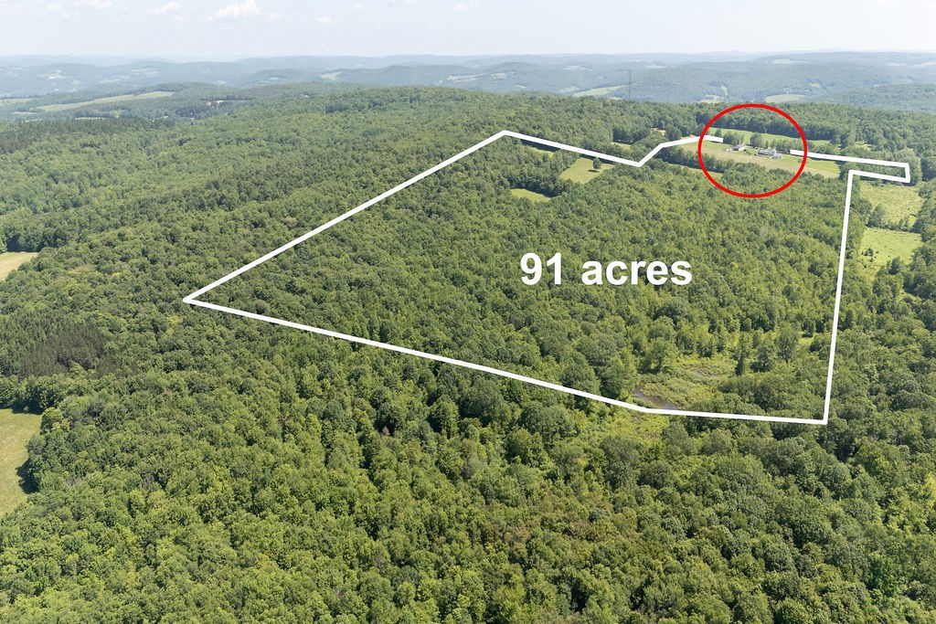 1669 Ed Klug Road Franklin, NY 13775 - Photo 9 of 50