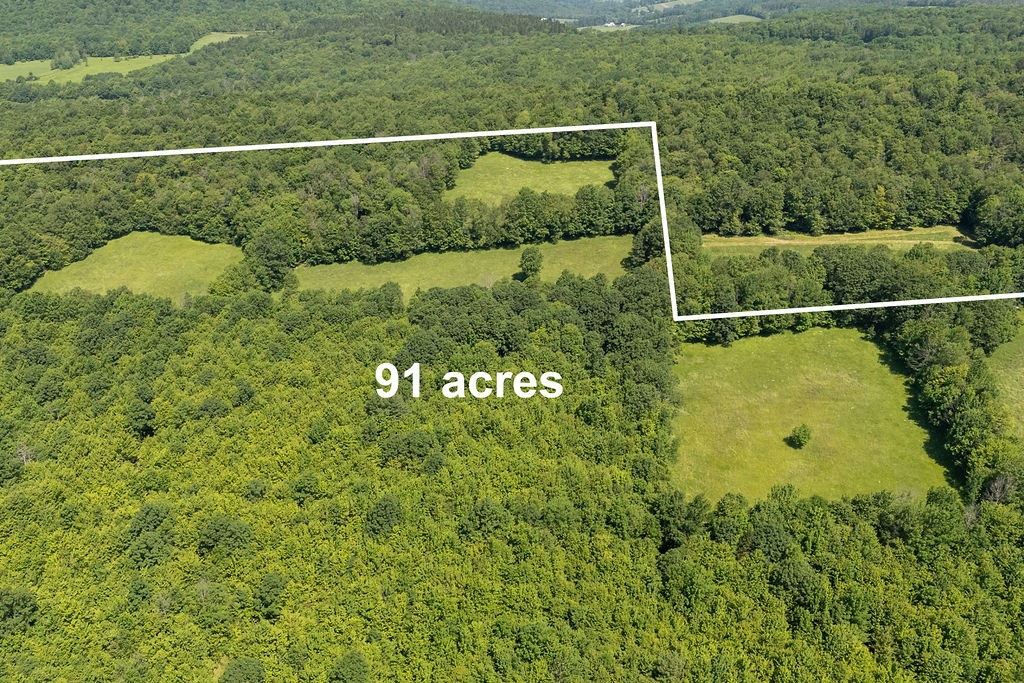 1669 Ed Klug Road Franklin, NY 13775 - Photo 10 of 50