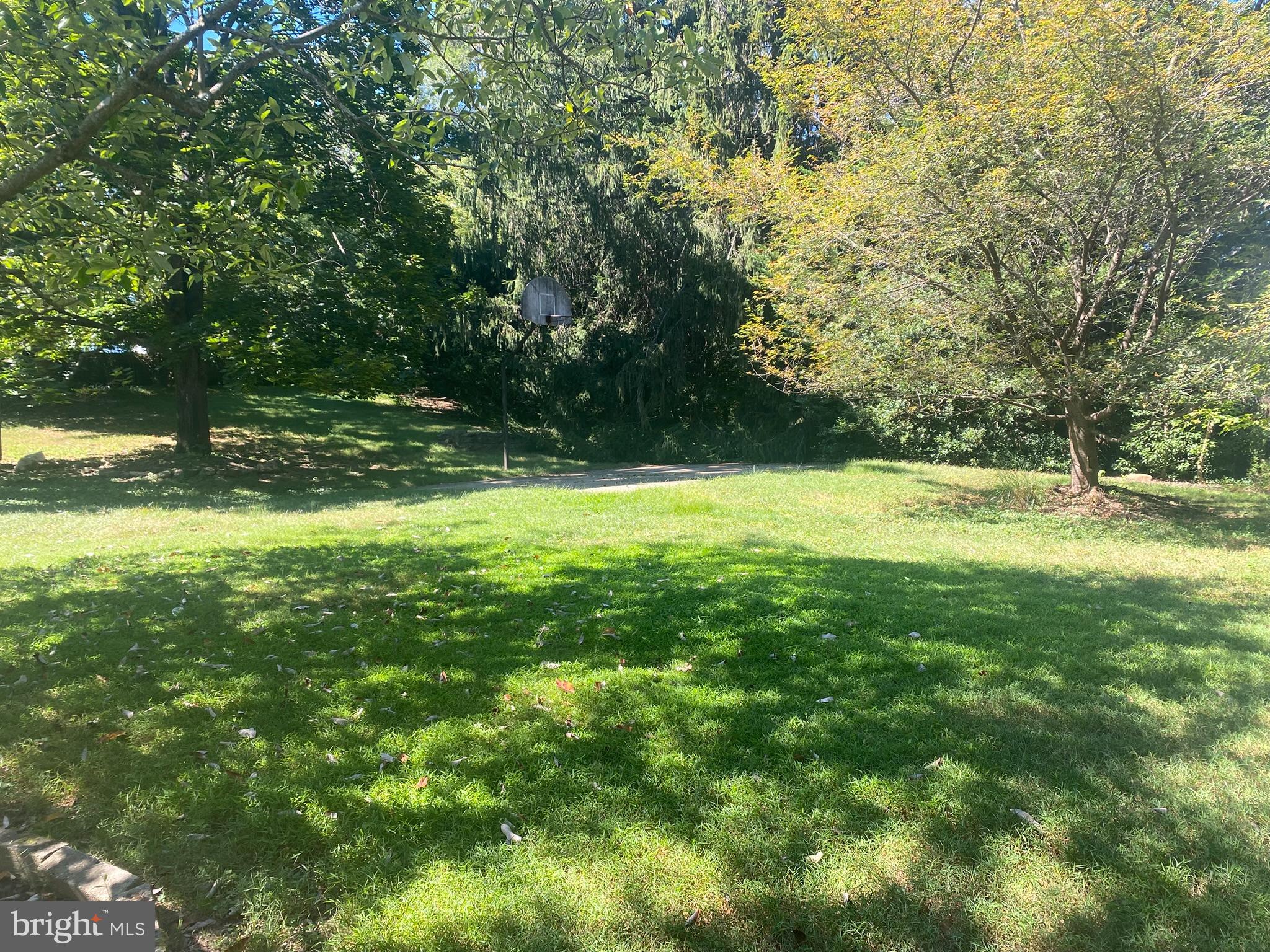 9845 Moyer Road Damascus, MD 20872 - Photo 3 of 32 a view of yard with green space