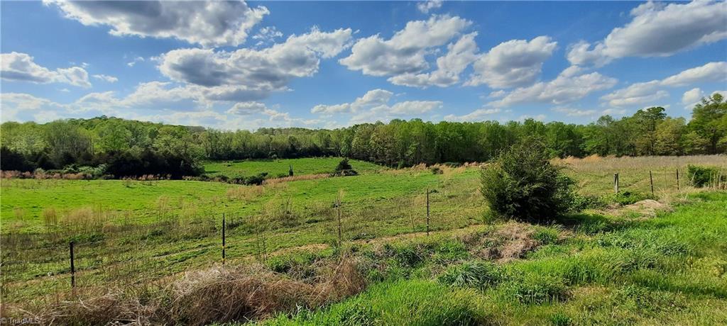 0 Graves Country Road Seagrove, NC 27341 - Photo 21 of 32 Gallery Image 21