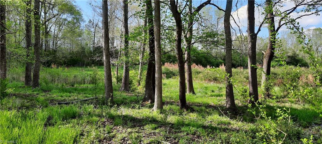 0 Graves Country Road Seagrove, NC 27341 - Photo 24 of 32 Pasture and shade trees
