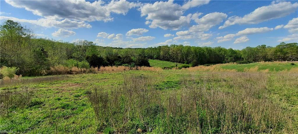 0 Graves Country Road Seagrove, NC 27341 - Photo 25 of 32 Gallery Image 25