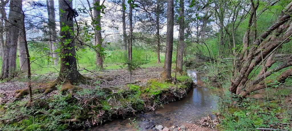 0 Graves Country Road Seagrove, NC 27341 - Photo 5 of 32 Creek