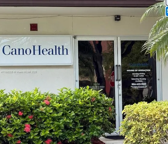 a close up of a potted plant