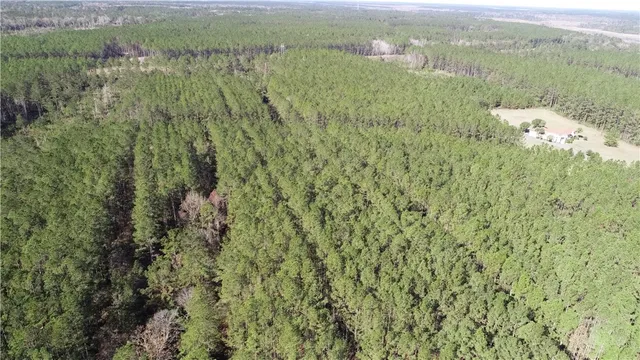 $35,000 | Lot 14 Waverly Lane, White Oak, GA 31568