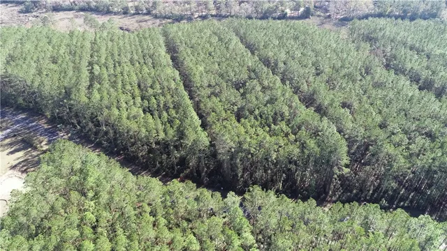 $35,000 | Lot 14 Waverly Lane, White Oak, GA 31568