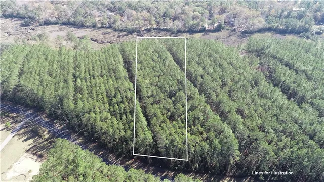 $35,000 | Lot 14 Waverly Lane, White Oak, GA 31568