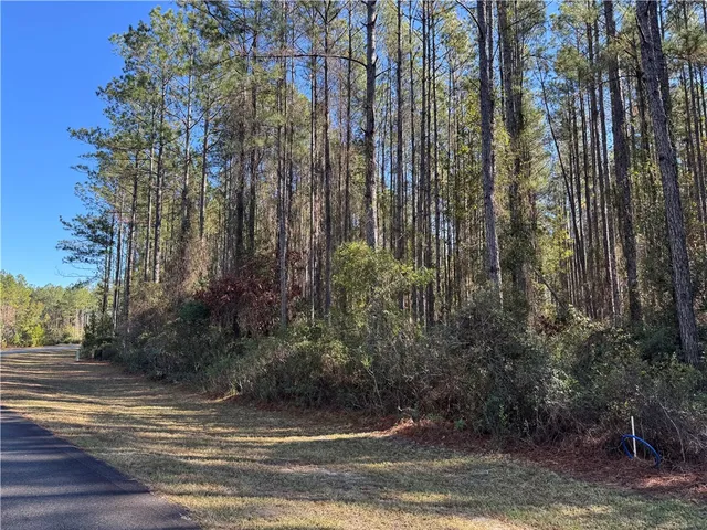 $35,000 | Lot 14 Waverly Lane, White Oak, GA 31568