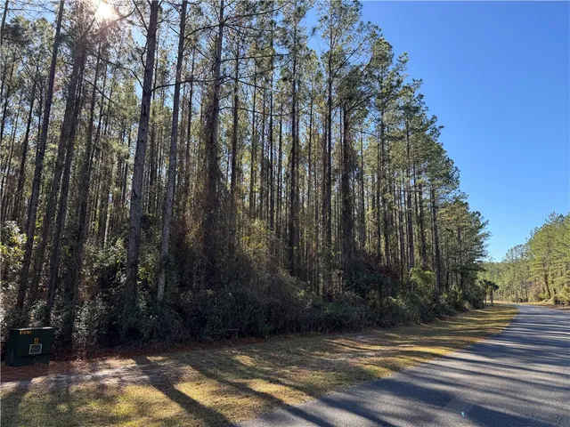 $35,000 | Lot 14 Waverly Lane, White Oak, GA 31568