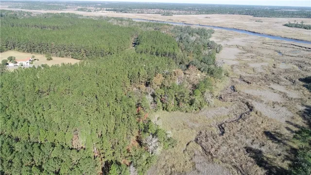 $35,000 | Lot 14 Waverly Lane, White Oak, GA 31568