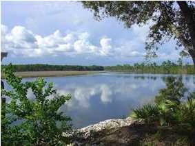 493 Mill Road Carrabelle, FL 32322 - Photo 1 of 1 Gallery Image 1
