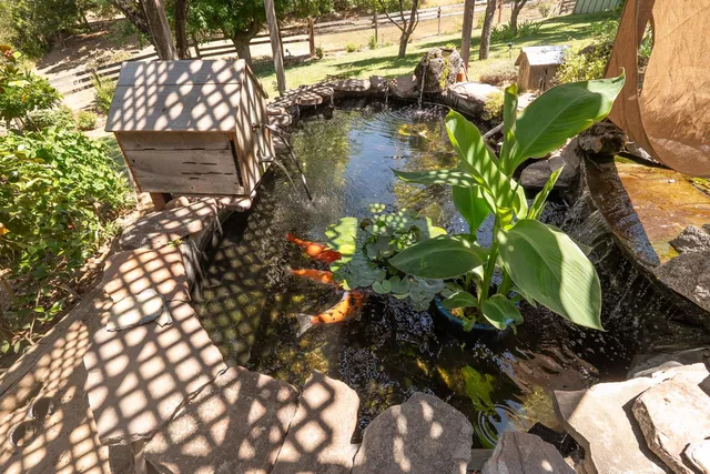 $925,000 | 52038 Road 426, Oakhurst, CA 93644