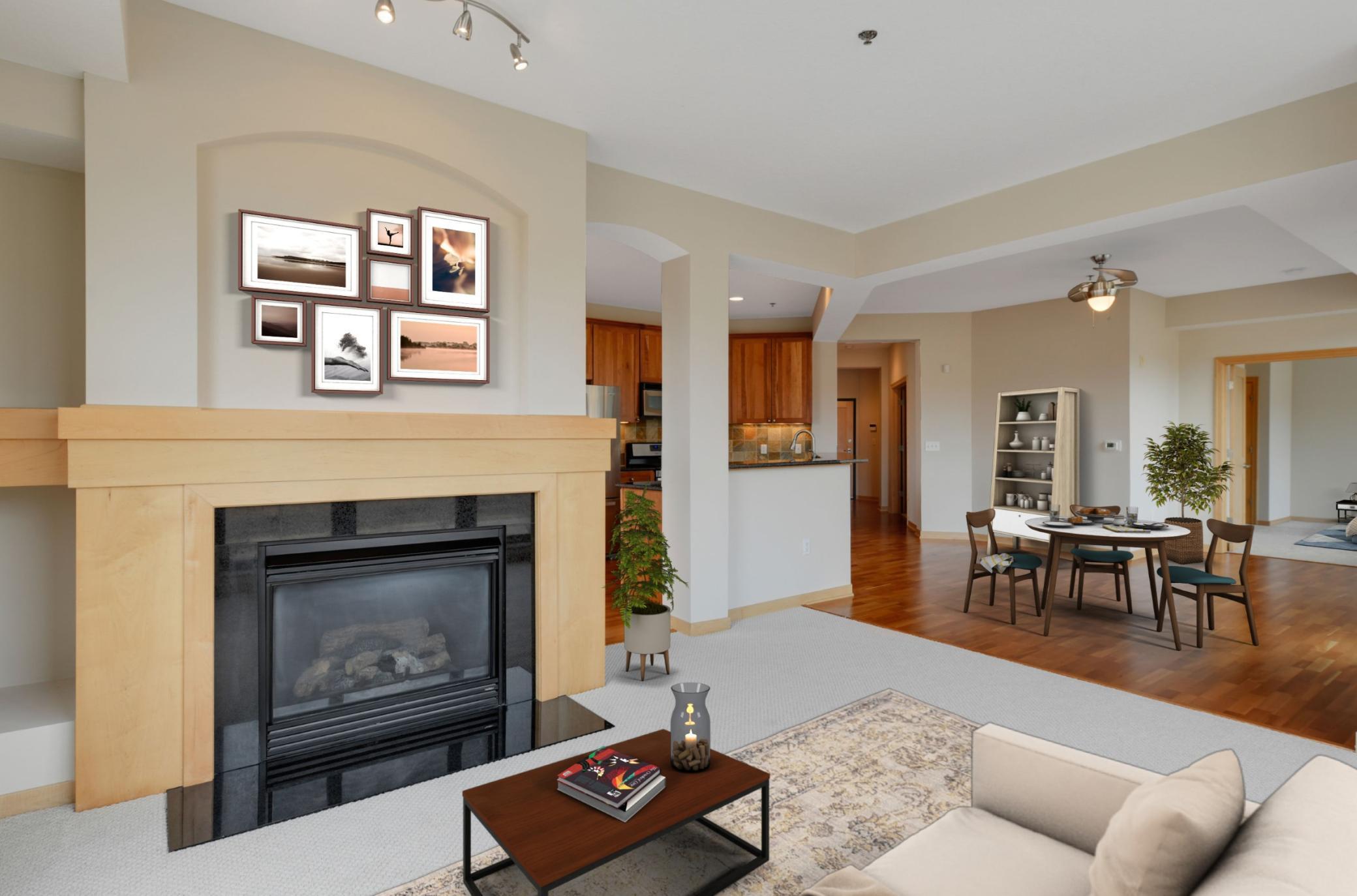 312 Spring Street, Unit 301 St. Paul, MN 55102 - Photo 2 of 37 Gallery Image 2