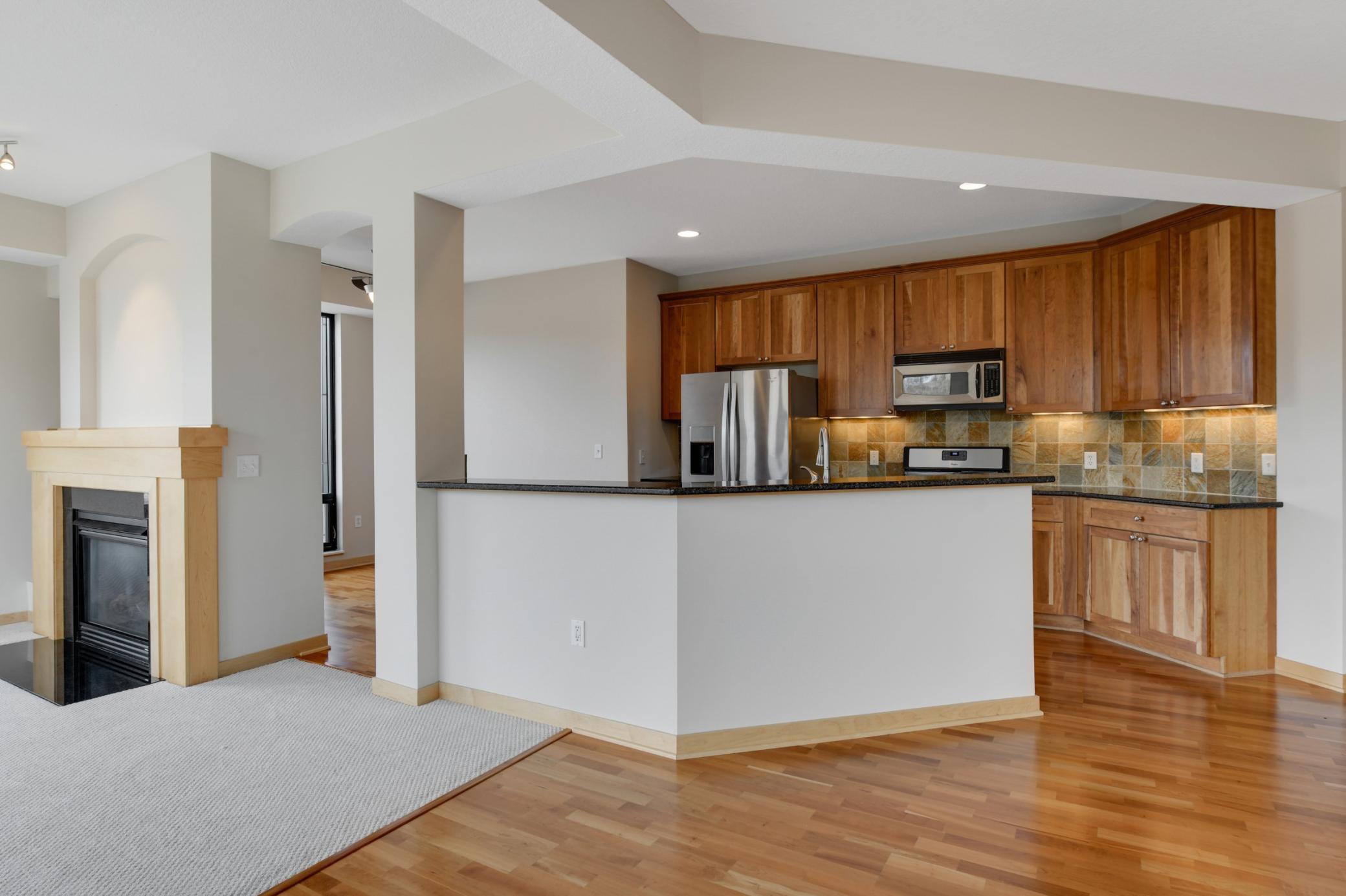 312 Spring Street, Unit 301 St. Paul, MN 55102 - Photo 11 of 37 Gallery Image 11