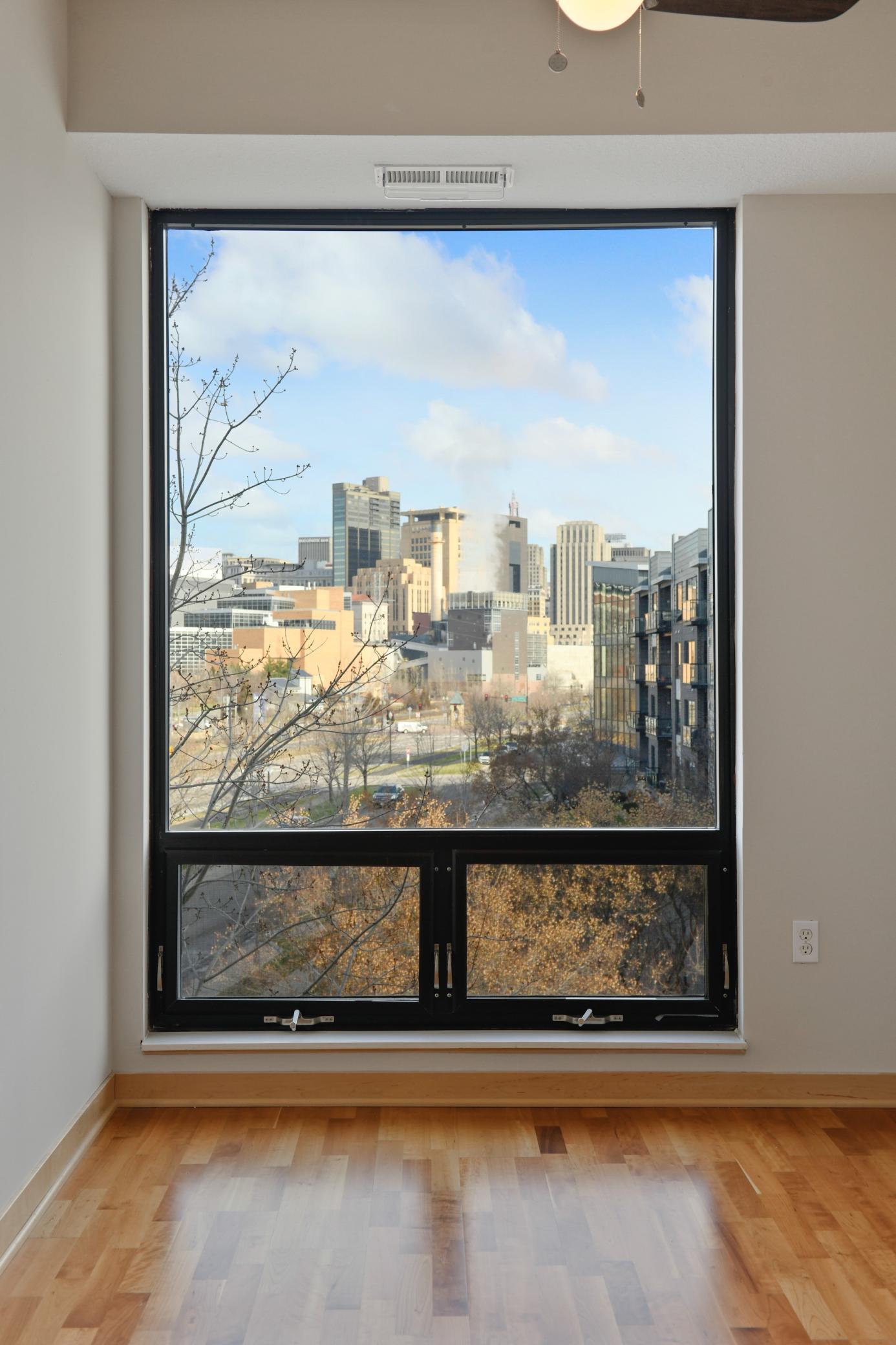 312 Spring Street, Unit 301 St. Paul, MN 55102 - Photo 15 of 37 Gallery Image 15