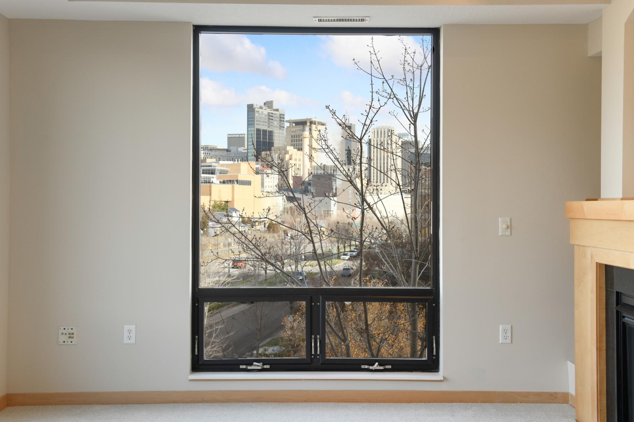 312 Spring Street, Unit 301 St. Paul, MN 55102 - Photo 17 of 37 Gallery Image 17