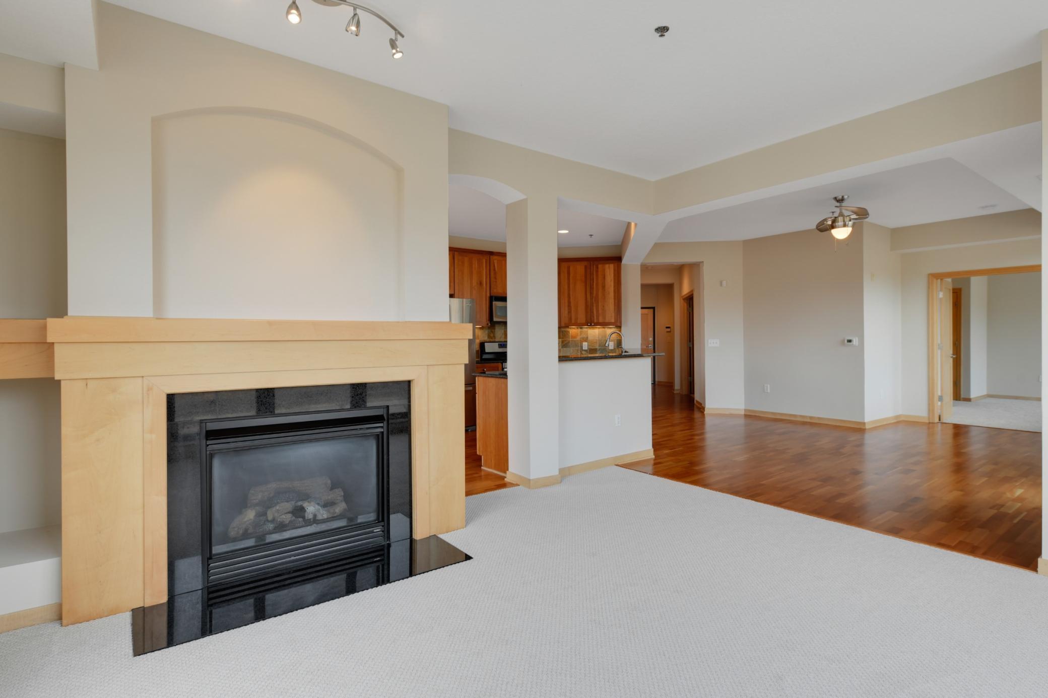 312 Spring Street, Unit 301 St. Paul, MN 55102 - Photo 18 of 37 Gallery Image 18