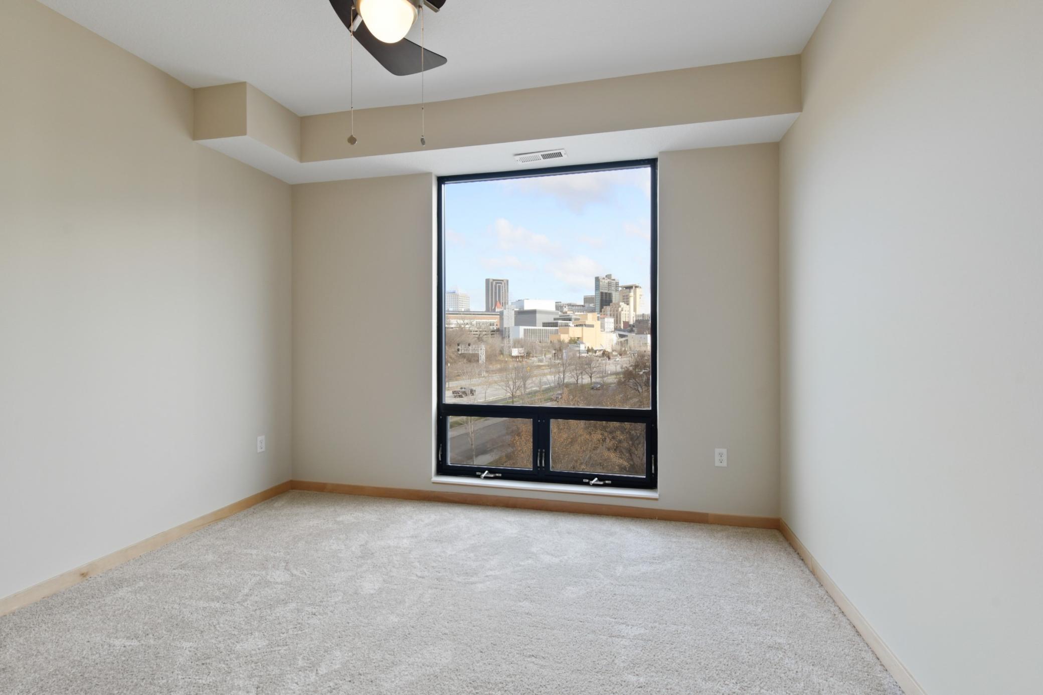 312 Spring Street, Unit 301 St. Paul, MN 55102 - Photo 24 of 37 Gallery Image 24
