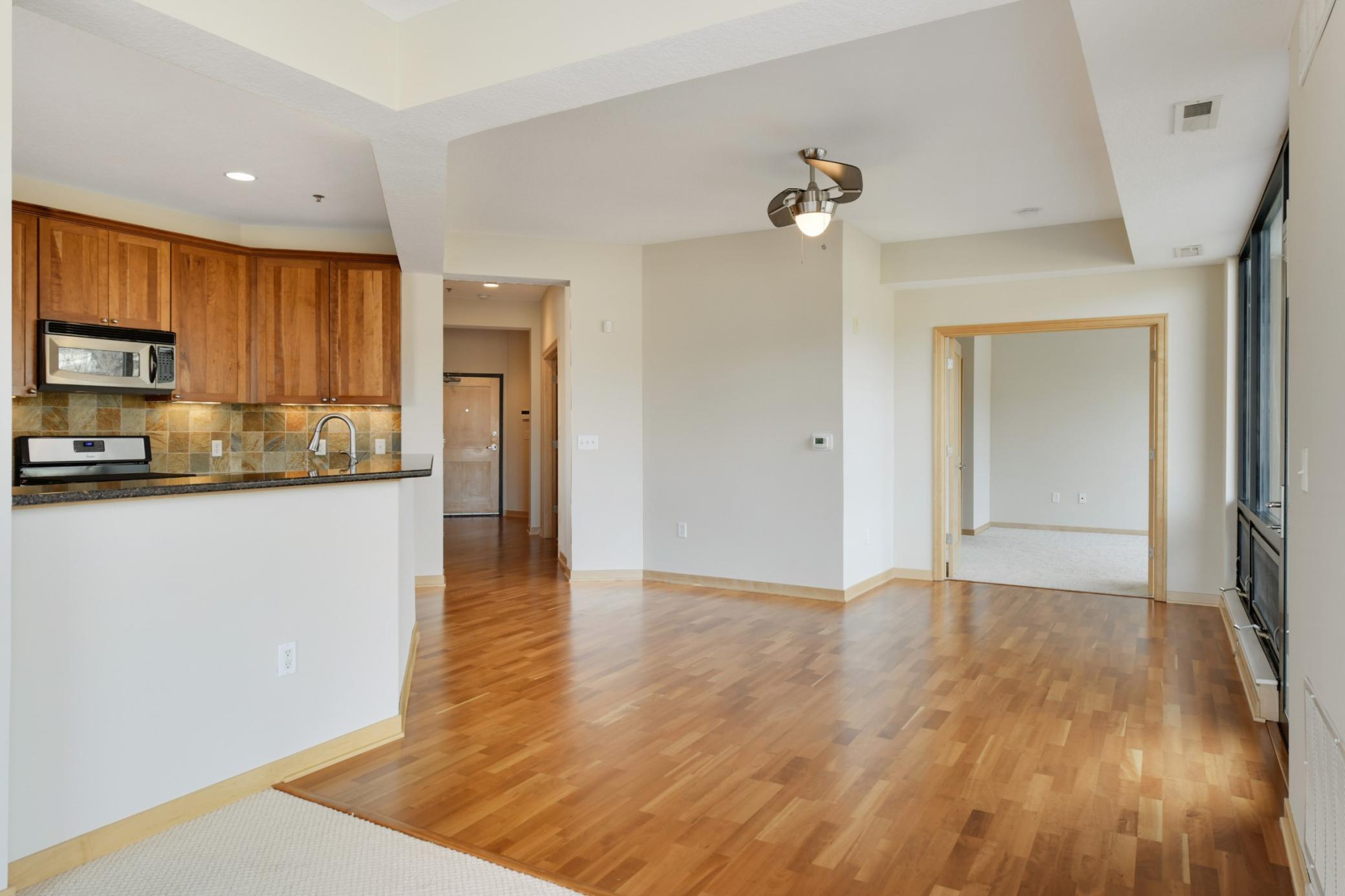312 Spring Street, Unit 301 St. Paul, MN 55102 - Photo 8 of 37 Gallery Image 8