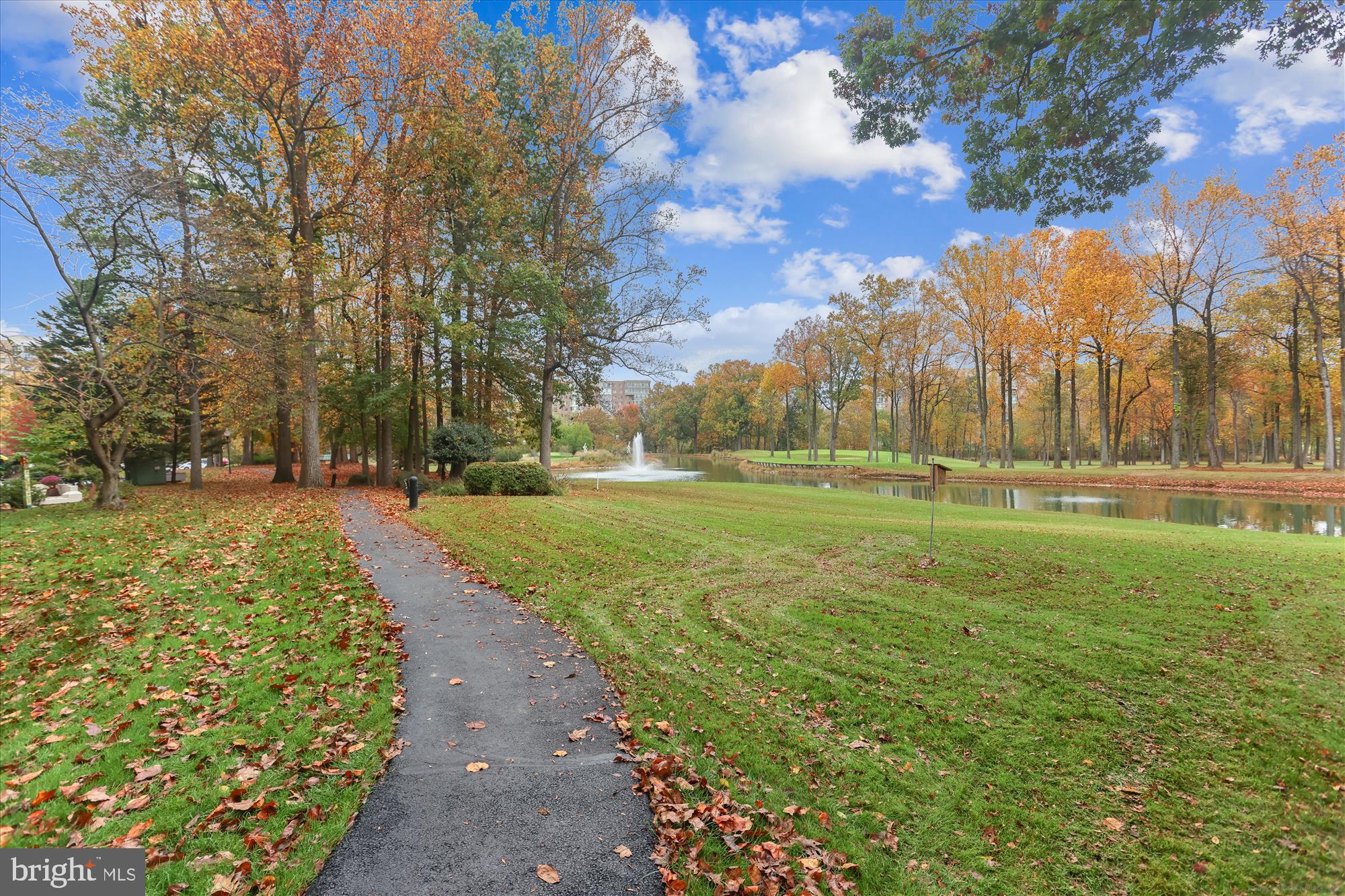 15107 Interlachen Drive, Unit 2916 Silver Spring, MD 20906 - Photo 16 of 30 The Greens of Leisure World Back Yard