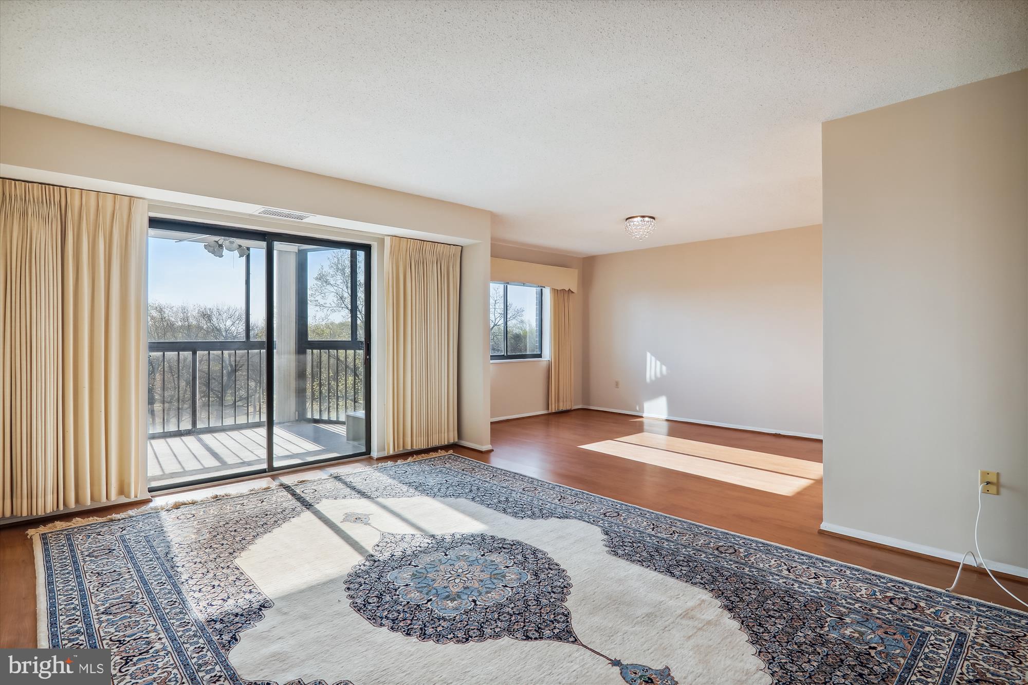 15107 Interlachen Drive, Unit 2916 Silver Spring, MD 20906 - Photo 7 of 30 Living Room
