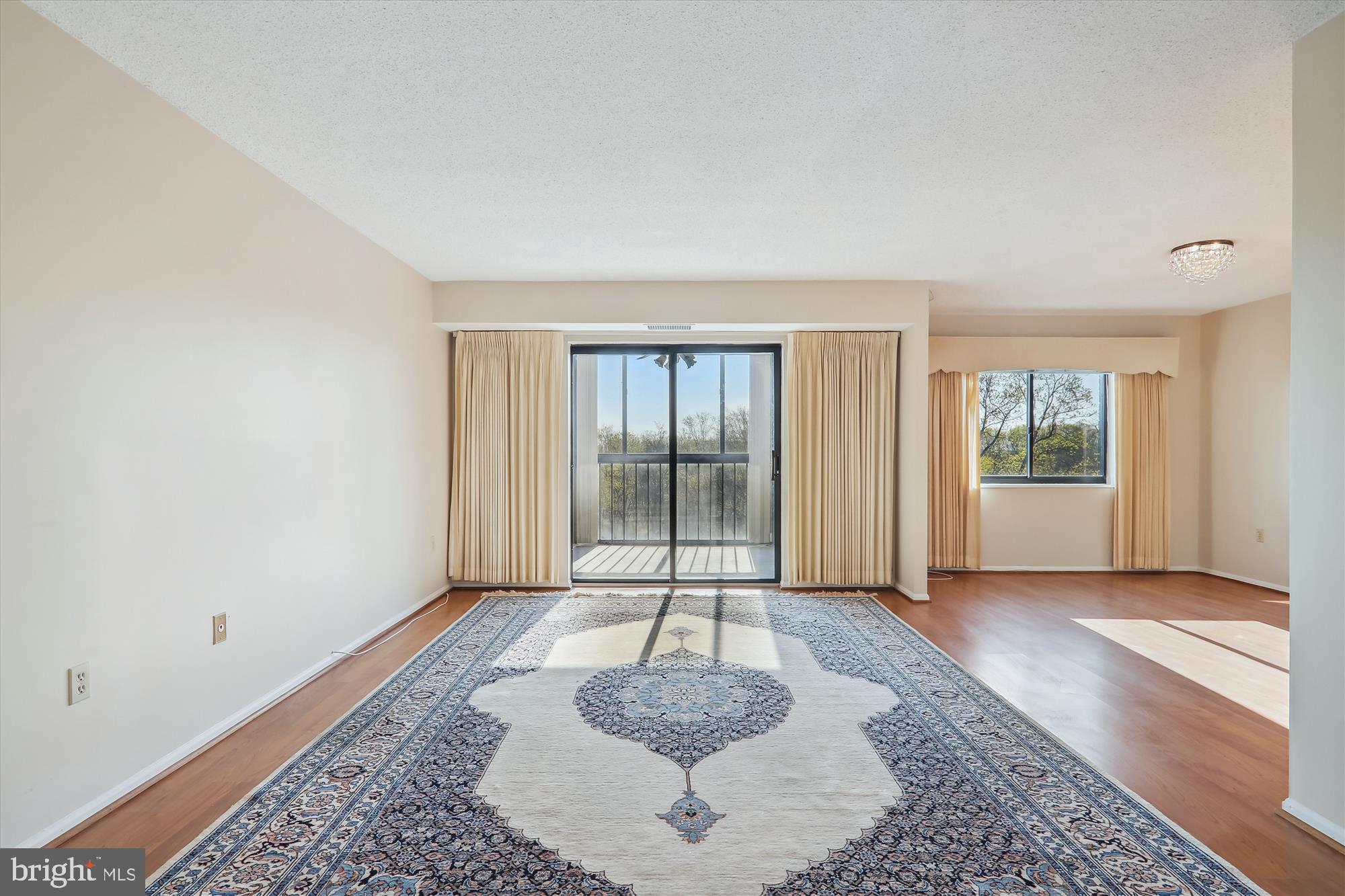 15107 Interlachen Drive, Unit 2916 Silver Spring, MD 20906 - Photo 8 of 30 Living Room
