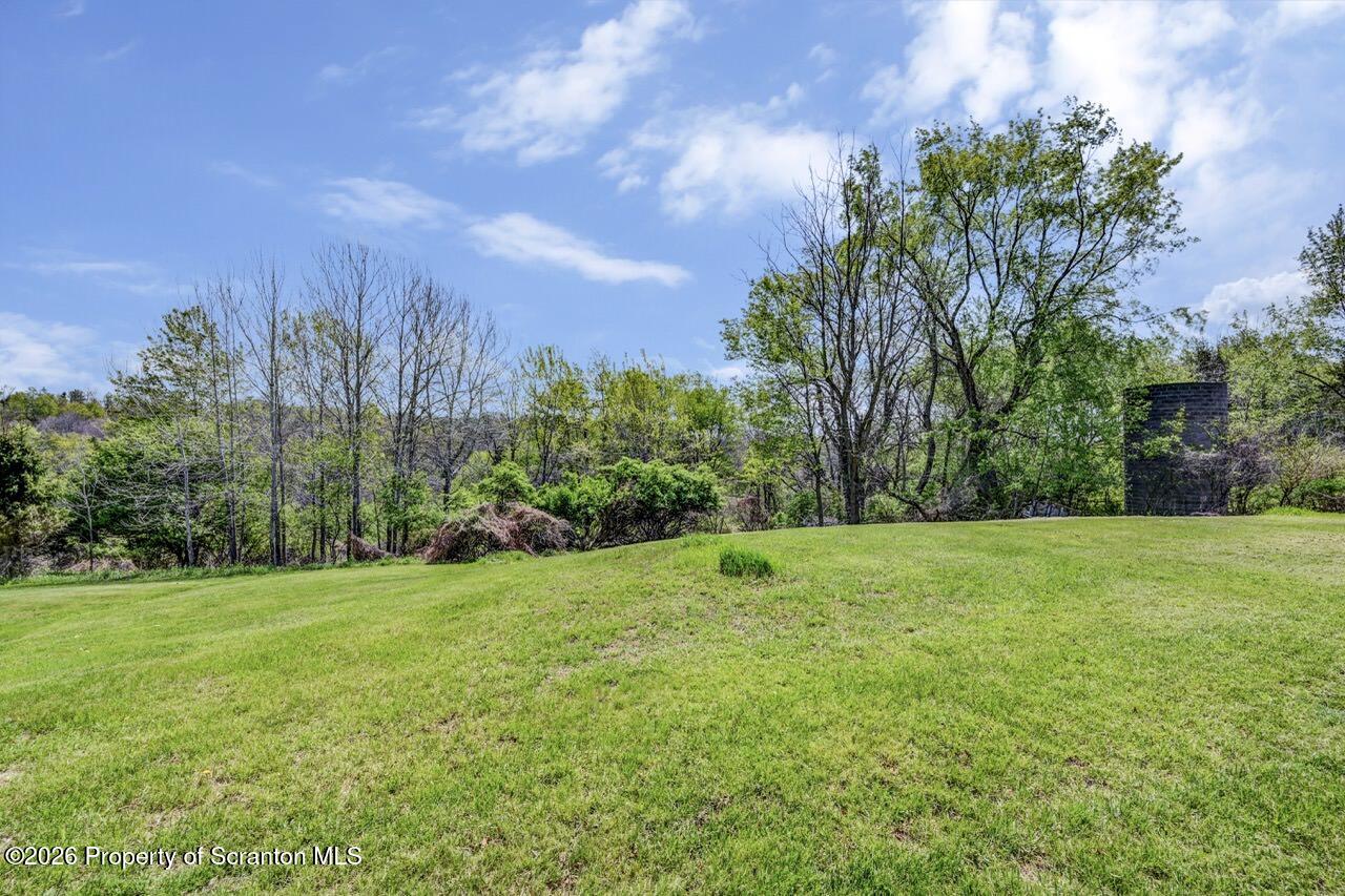314 Reynolds Road Factoryville, PA 18419 - Photo 55 of 58 a view of a grassy field with trees