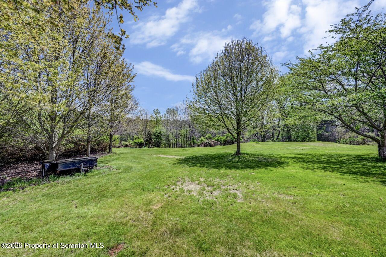 314 Reynolds Road Factoryville, PA 18419 - Photo 56 of 58 a view of a garden with trees