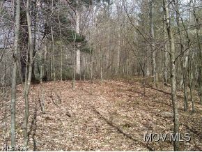 0 Bear Run Road Cairo, WV 26337 - Photo 16 of 24