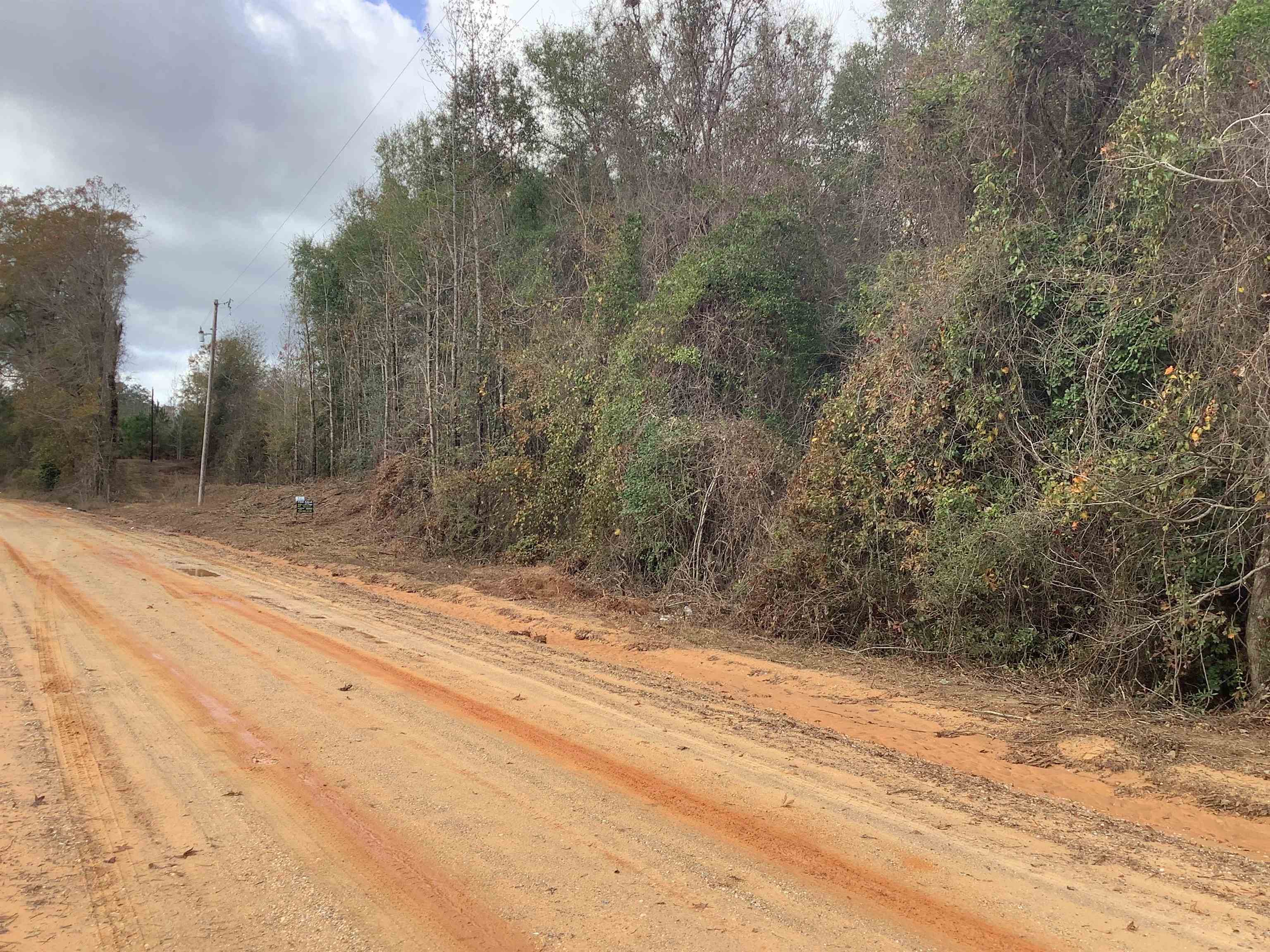 2264 Mulberry Road Brantley, AL 36009 - Photo 28 of 30 Gallery Image 28