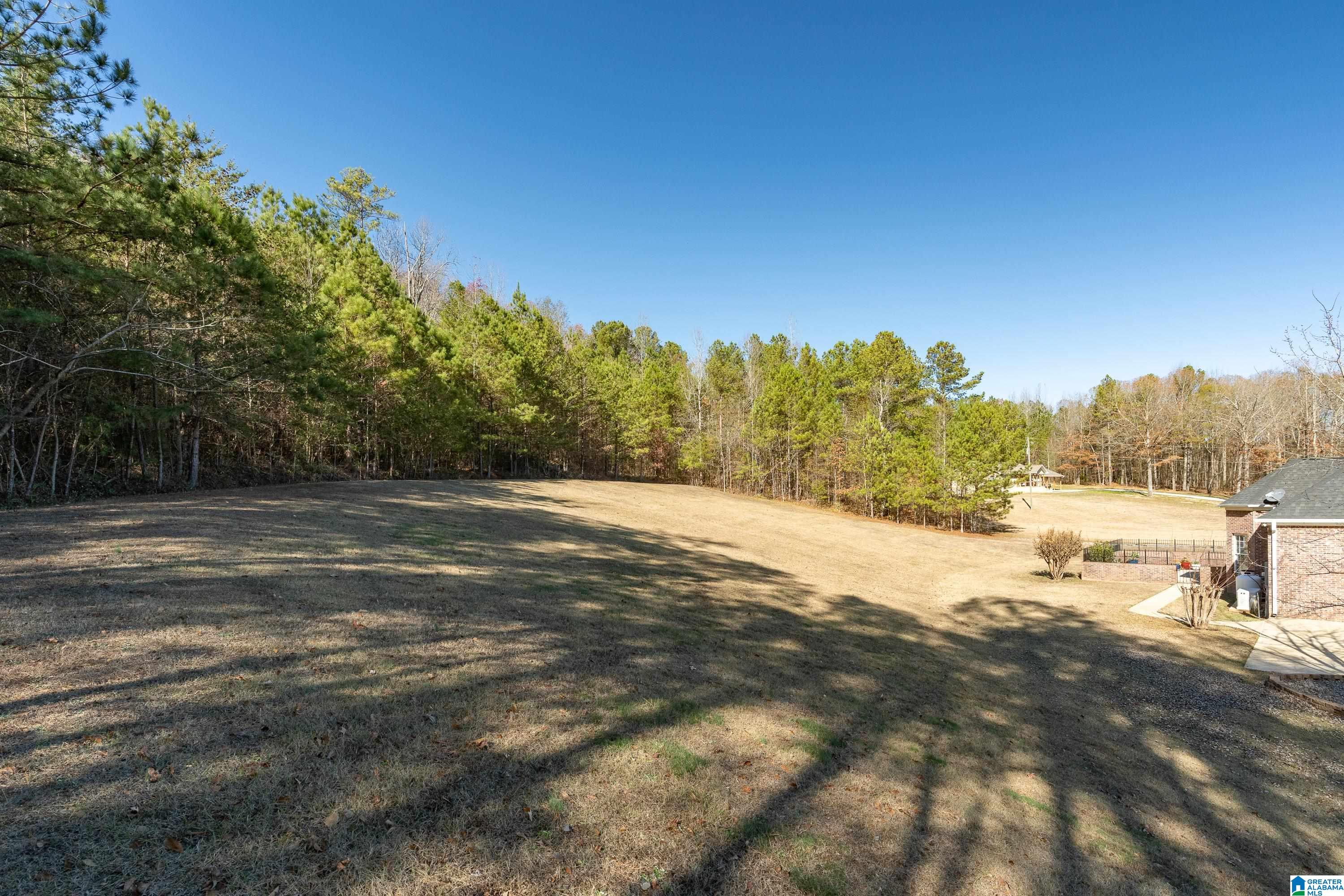 14314 Gallant Road Gallant, AL 35972 - Photo 57 of 69 Gallery Image 57