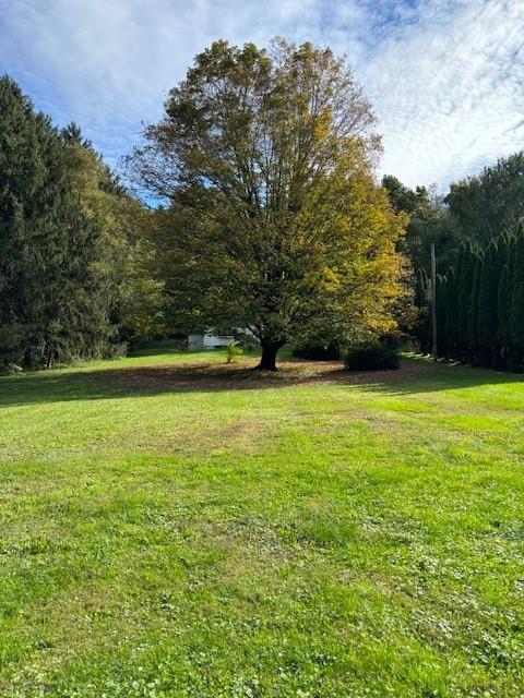 132 Jackson Road Hopewell Junction, NY 12533 - Photo 1 of 1 Gallery Image 1